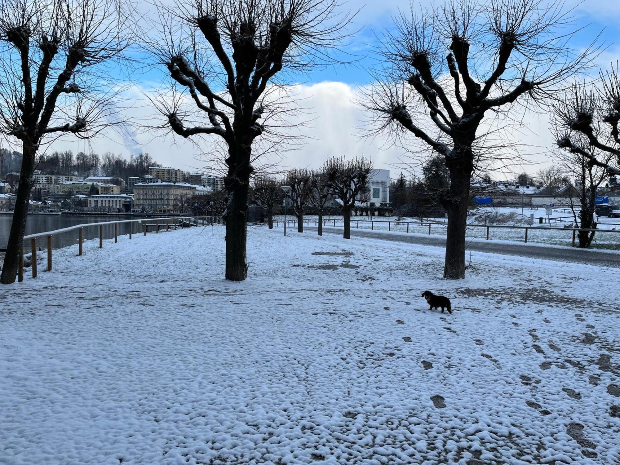 Altstadtjuwel In Gmunden Am Traunsee Kültér fotó